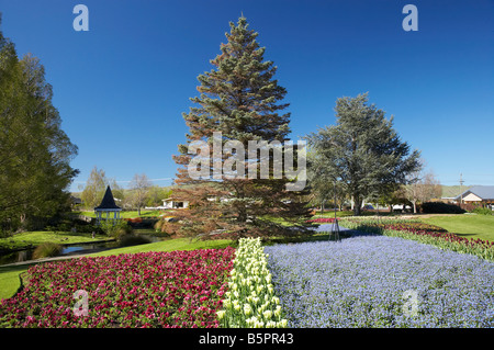 Spring Flowers Pollard Park Blenheim Marlborough South Island New Zealand Stock Photo