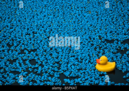 Download Yellow Rubber Duck In A Blue Bucket Full Of Water Stock Photo Alamy PSD Mockup Templates