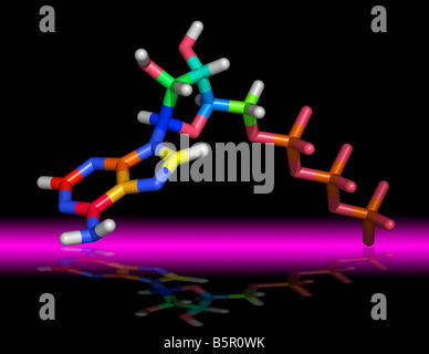 Molecule of Adenosine Triphosphate ATP transports chemical energy within cells for metabolism Stock Photo