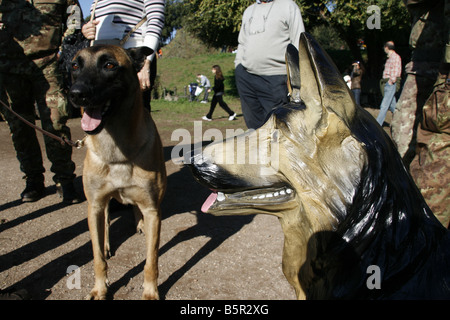 plastic dog statue at military open day event Stock Photo