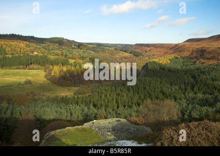 The view over Newton Dale from near Skelton tower in the North York Moors Stock Photo