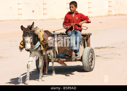 Donkey cart and driver in deserted streets of Dakhla Western Sahara Stock Photo