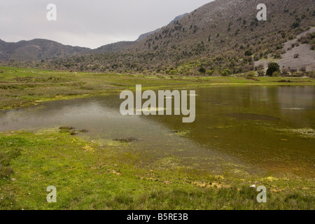 Temporary Pond on the Omalos plateau White Mountains Crete rare habitat EU protected Stock Photo