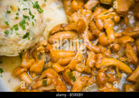 Canederli (Knödel) with chanterelles (finferli) mushrooms. Typical dish from the South Tyrol, Trentino Alto Adige region, Italy. Stock Photo