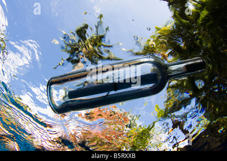 The underwater view of a message in a bottle, with tropical foliage seen through the rippled surface. Stock Photo