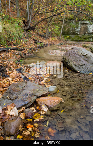 Pea's Creek, Ledges State Park, Iowa Stock Photo - Alamy