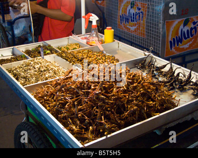 A cart of insects for sale as snacks on Khao San Road Bangkok Thailand JPH0140 Stock Photo