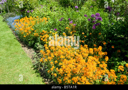 Cottage garden border Stock Photo