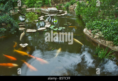 Texas Hill Country Austin Zilker Botanical Garden Taniguchi Japanese Garden koi pond Stock Photo