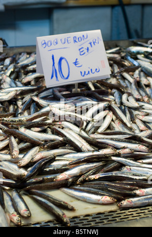 Fresh Anchovies or Boqueron for sale in the central fish market Mercado Central in the historical city centre of Valencia Spain Stock Photo