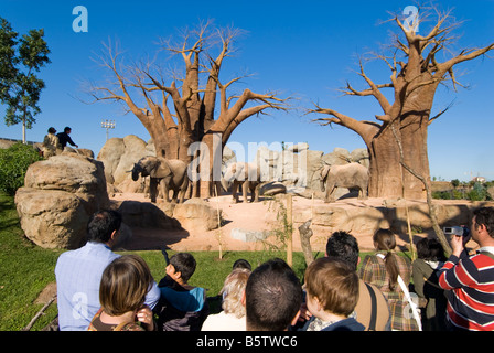 People looking at elephants in enclosure inside the Biopark zoo which opened in the city of Valencia in 2008 Stock Photo