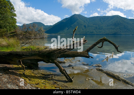 Lake Rotoroa from the Sabine Hut, Nelson Lakes National Park, South Island, New Zealand Stock Photo