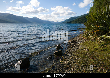 Lake Rotoroa from the Sabine Hut, Nelson Lakes National Park, South Island, New Zealand Stock Photo