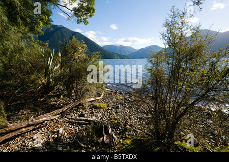 Lake Rotoroa from the Sabine Hut, Nelson Lakes National Park, South Island, New Zealand Stock Photo