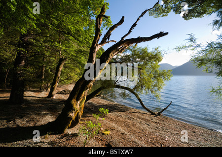 Lake Rotoroa from the Sabine Hut, Nelson Lakes National Park, South Island, New Zealand Stock Photo