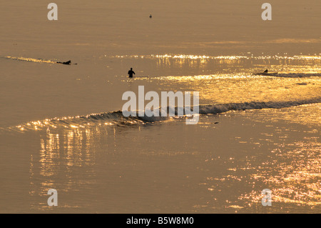 Catch the Golden Wave - surfers waiting for and catching waves in the waters off of Topanga State Beach, California
