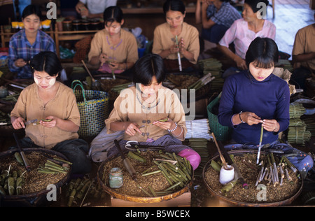 Burmese Women Making Cheerots, Cigars and Cigarettes in a Cigarette Factory or Worlshop on Lake Inle, Burma or Myanmar Stock Photo