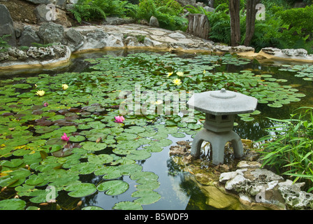 Texas Hill Country Austin Zilker Botanical Garden Taniguchi Japanese Garden koi pond Stock Photo