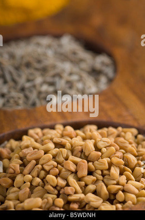 Close-up of fenugreek seeds in a spice container Stock Photo