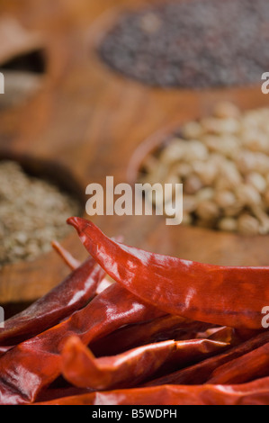 Close-up of red chili peppers in a spice container Stock Photo