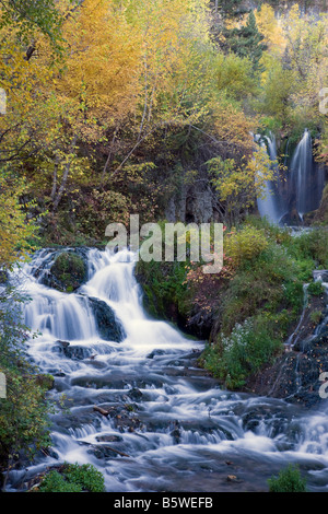 Roughlock Falls, Roughlock Falls Nature Area, Little Spearfish Canyon, Black Hills National Forest, South Dakota Stock Photo