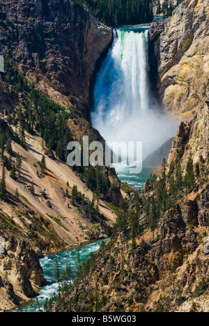The roaring Yellowstone river and lower water fall in Yellowstone National Park Wyoming Stock Photo