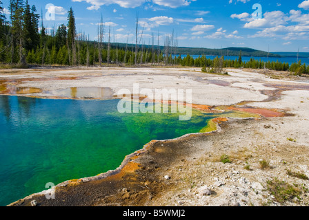 Hot springs pools and geysers in the Grant Village section of Yellowstone national park Wyoming Stock Photo
