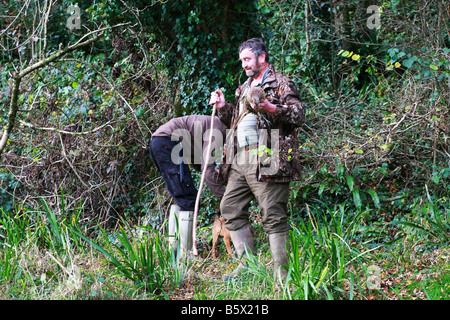 Two hunters beaters with working dogs hold shot dead pheasant from driven game bird shoot on private farmland Devon England Stock Photo
