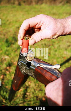 A pheasant hunter loads orange cartridges into both barrels of a double barrelled stock action 12 twelve gauge shot gun Stock Photo