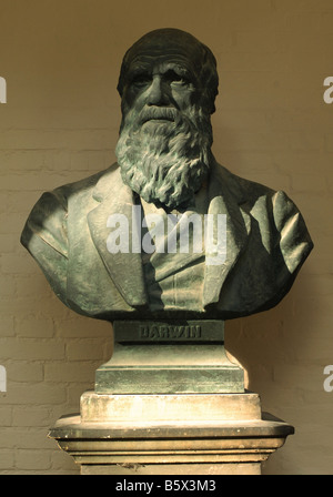 Bust of Charles Darwin in Christ's College, Cambridge by the American sculptor William Couper. Stock Photo