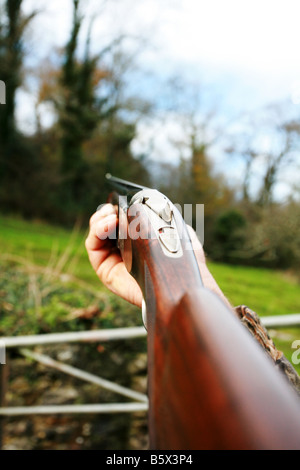 Close up of a stock action 12 gauge shotgun with double barrels and wooden stock fore end being held by driven bird hunter Stock Photo