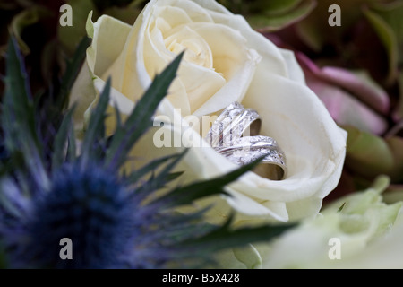 Two wedding rings resting in a white rose next to blue sea holly in a bridal bouquet Stock Photo