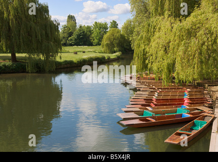 Punts moored on the backs River Cam Cambridge England UK Stock Photo