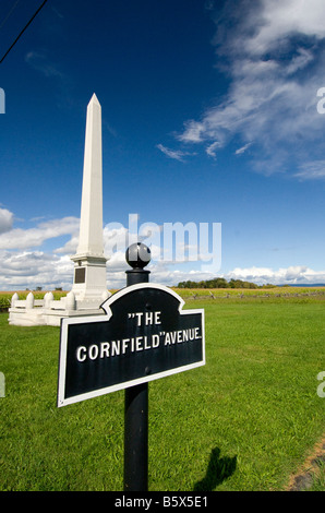 The Corn Field battle site at Antietam National Battlefield, Maryland Stock Photo