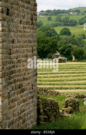 A view taken from beside a barn looking across a field to where a tractor and forage harvester are working together. Stock Photo