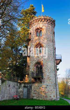 The 'Diebesturm' (Thief Tower) at the Rhine River in Bad Seackingen, Germany Stock Photo