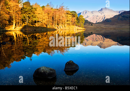 Early morning sun lights autumn trees on the shores of Blea Tarn and Langdale Pikes reflected in still water, Lake District, UK Stock Photo