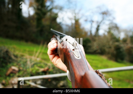 Close up of a stock action 12 gauge shotgun with double barrels and wooden stock fore end being held by driven bird hunter Stock Photo