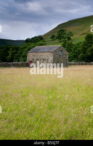 Traditional stone field barn standing in valley pasture or field by hills, long grasses blowing in wind - Muker Meadows, Yorkshire Dales, England, UK. Stock Photo