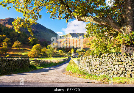 Track leading to Glencoyne farm near Ullswater in the Lake District Cumbria England UK Stock Photo