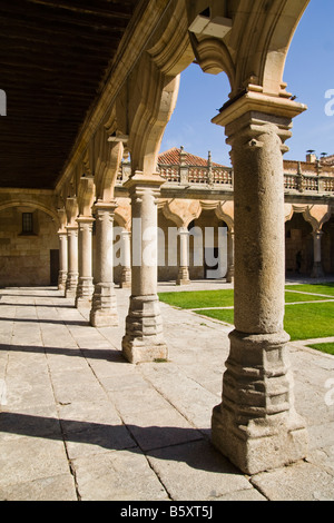 Patio de las Escuelas Menores, Salamanca University, Castilla y Leon, Spain. Stock Photo