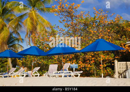 Umbellas  and chairs on Shoal Bay East Beach on the caribbean island of Anguilla in the British West Indies Stock Photo