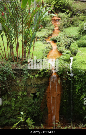Waterfall in the Terra Nostra park in Furnas, São Miguel, Azores Portugal Stock Photo