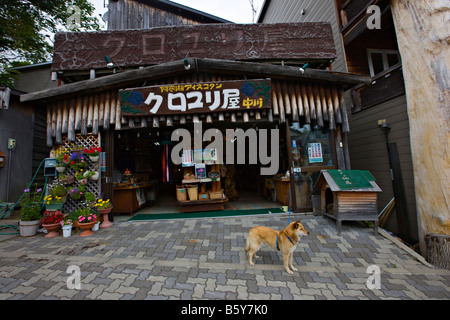 Ainu Village, Akan Kohan, Hokkaido, Japan, Asia Stock Photo