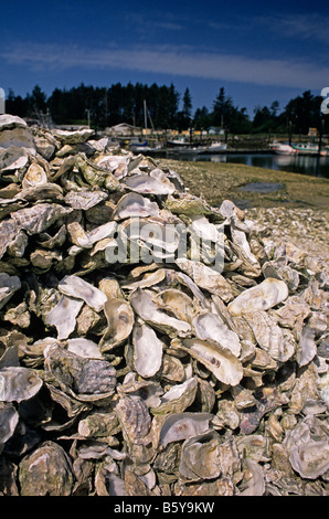 Oyster processing plant with oyster shells piles up along harbor Oysterville Southwest Washington State USA