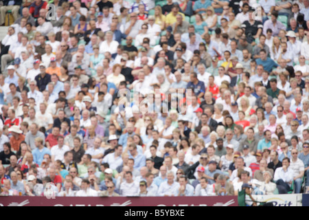 crowd fans spectaters blurred out of focus sports cricket soft background backdrop Stock Photo