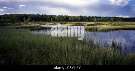 Lake in Rogen Sweden Stock Photo