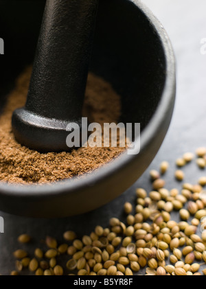 Coriander Powder in a Pestle and Mortar with Coriander Seeds Stock Photo