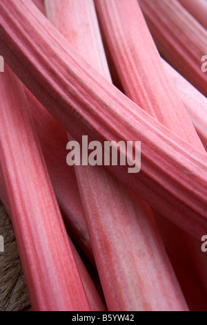 Sticks Of Rhubarb Stock Photo