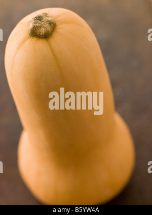 Butternut Squash Stock Photo